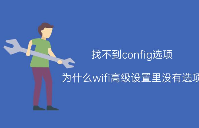 找不到config选项 为什么wifi高级设置里没有选项？